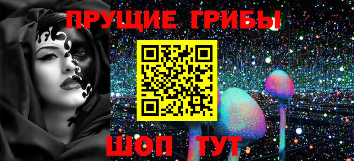 что такое наркотик  Вход с VPN  Галлюциногенные грибы MAGIC MUSHROOMS  Павлово  Псилоцибиновые грибы прущие грибы 